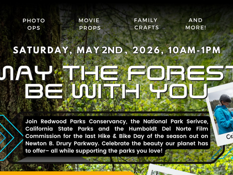 May the Forest Be with You at Prairie Creek State Park